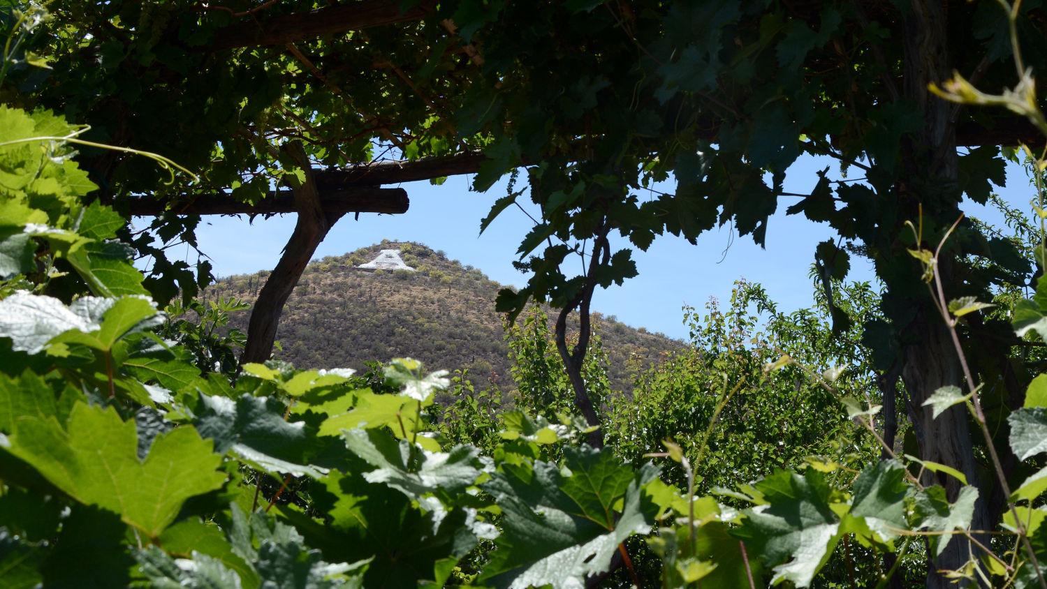 Mission Garden will take you back centuries